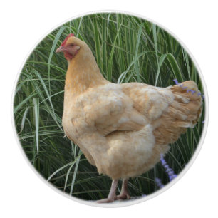 Chicken Ceramic Knob