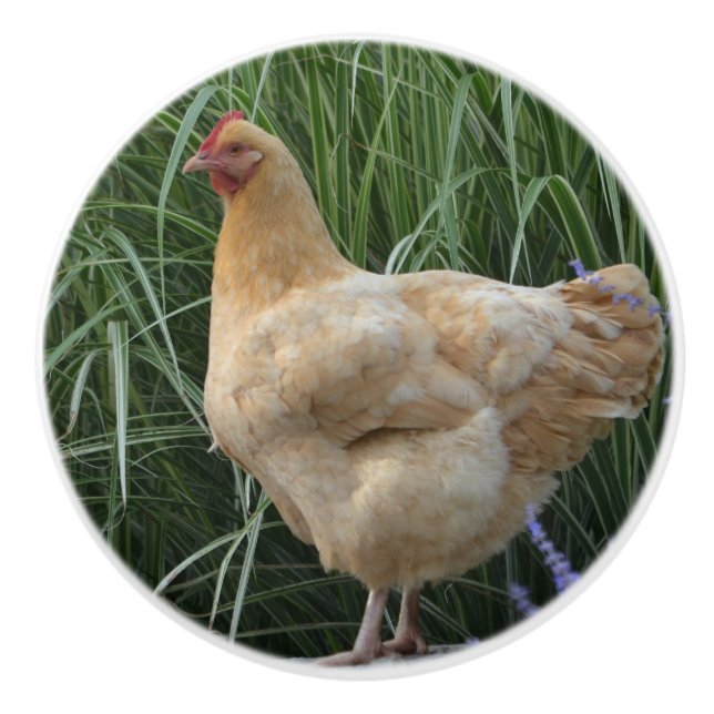 Chicken Ceramic Knob (Front)