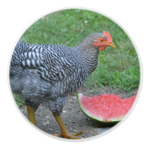 Chicken Ceramic Knob