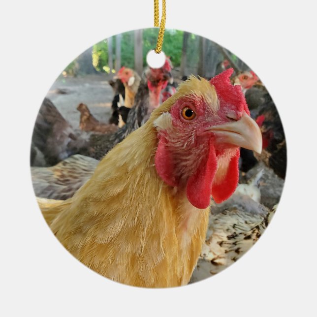 Chicken Ceramic Ornament (Front)
