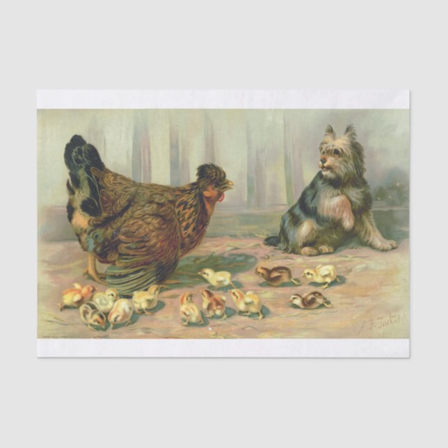 Chicken Chick Dog Illustration Tissue Paper (Front)