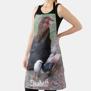 chicken, chicks, chickens, chick, animal, bird,  apron