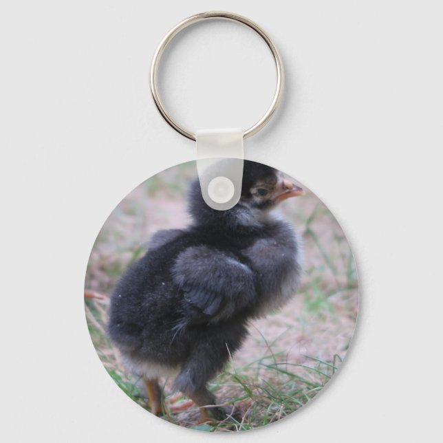 chicken, chicks, chickens, chick, animal, bird, key ring (Front)