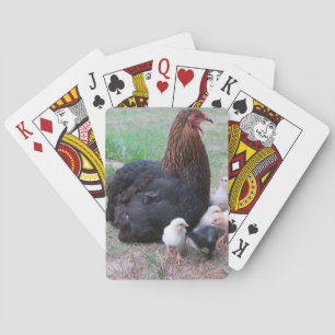 chicken, chicks, chickens, chick, animal, bird, playing cards