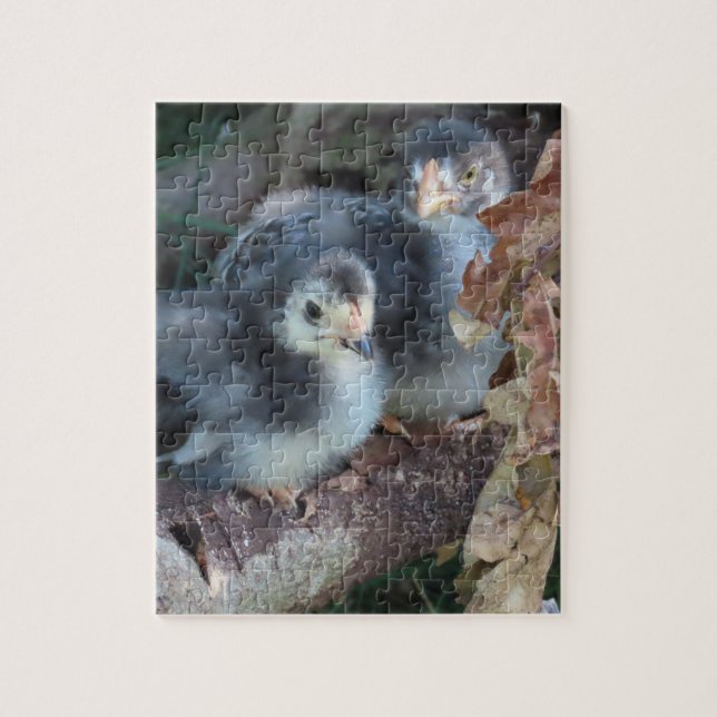 Chicken chicks jigsaw puzzle (Vertical)