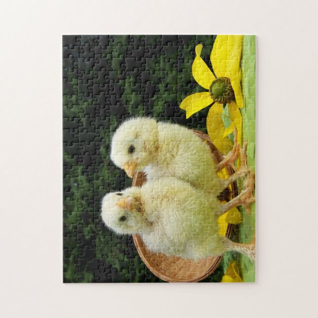 chicken chicks  jigsaw puzzle (Vertical)