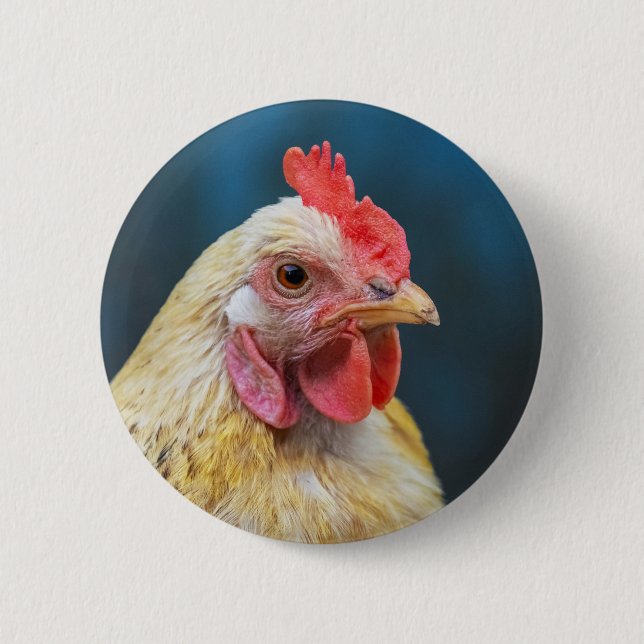 Chicken Close-Up 6 Cm Round Badge (Front)