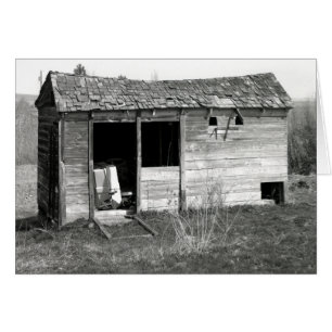 Chicken Coop