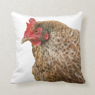 chicken cushion