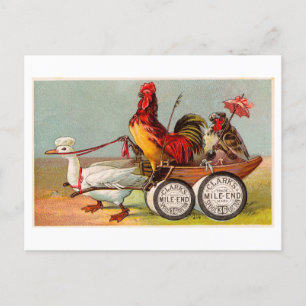 Chicken Driving Duck Cart Vintage Oddity Postcard