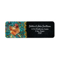 Chicken Farm Free Range Hobby Farm Western Address