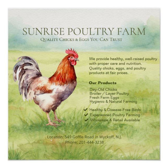 Chicken Farm Glossy Poster (Front)