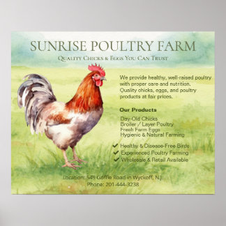 Chicken Farm  Poster