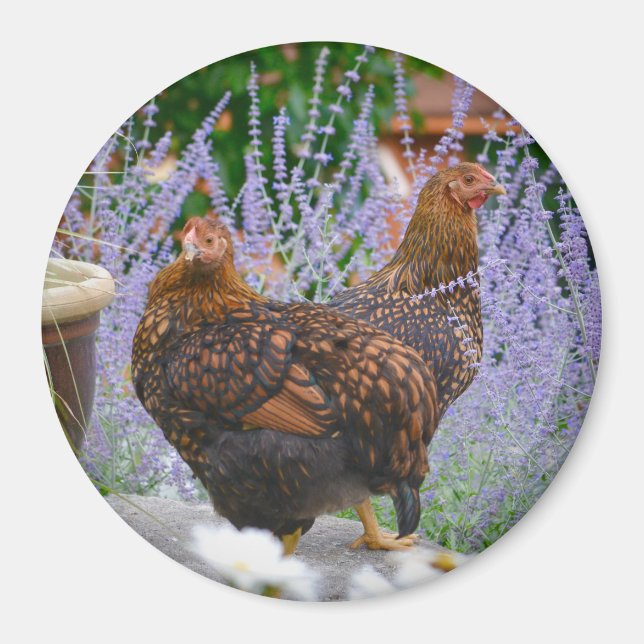 Chicken Floral Magnet (Front)