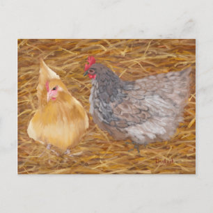Chicken Friends JW Postcard