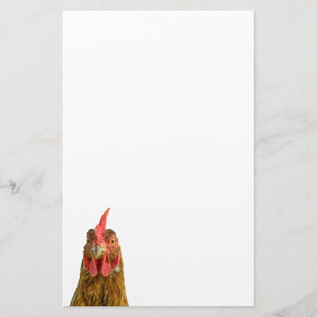 Chicken Funny Farm Animal Photo Stationery (Front)