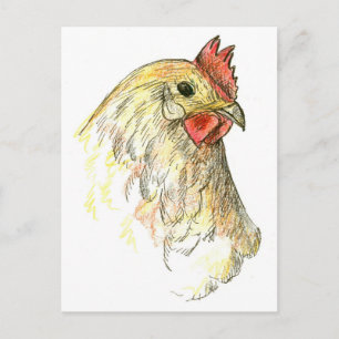 Chicken Hen Bird Farm Animal Drawing Postcard