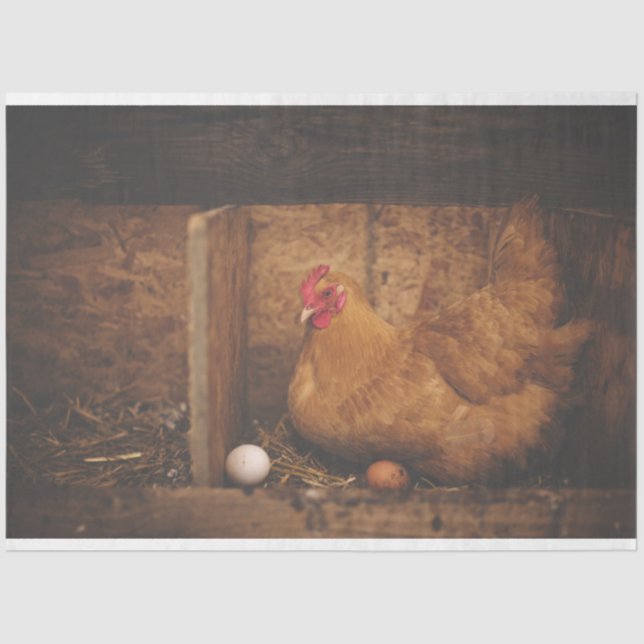 Chicken Hen Egg Farm Decoupage Tissue Paper (Front)