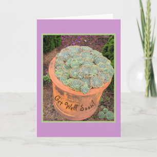 "CHICKEN & HENS PLANT IN TERRA COTTA VASE CARD