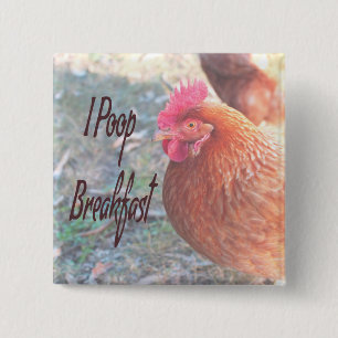 Chicken I poop Breakfast Funny Humor 15 Cm Square Badge