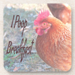 Chicken I poop Breakfast Funny Humor Coaster