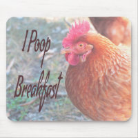Chicken I poop Breakfast Funny Humor