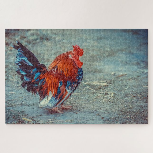 Chicken in a farm jigsaw puzzle (Horizontal)
