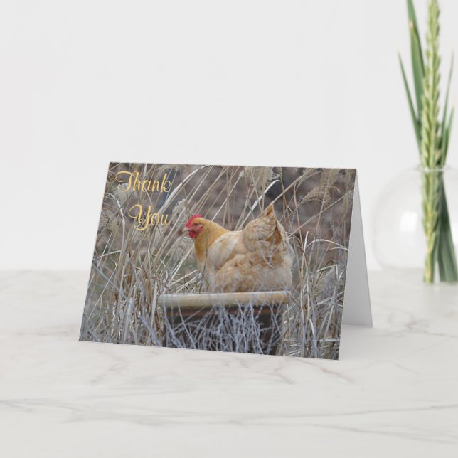 Chicken In A Pot Thank You Card (Front)