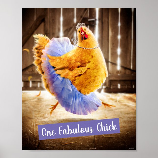 Chicken in a Tutu Poster (Front)