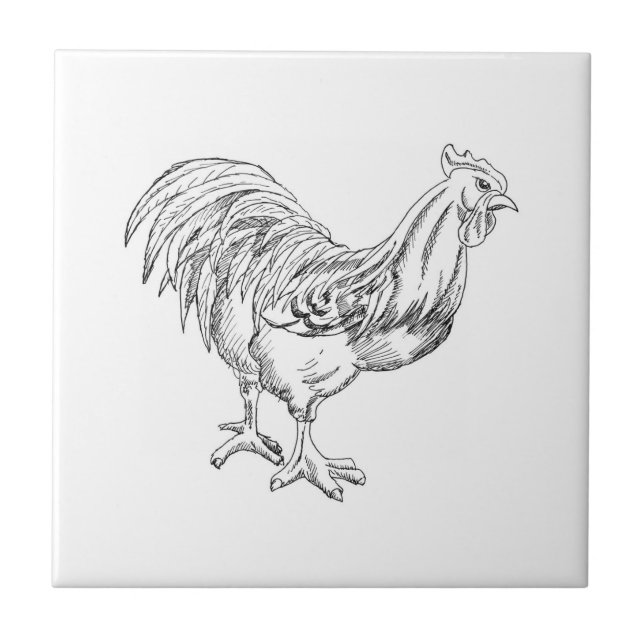 Chicken in Pen & Ink Ceramic Tile (Front)