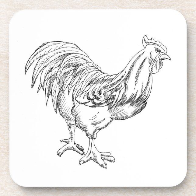 Chicken in Pen & Ink Coaster (Front)