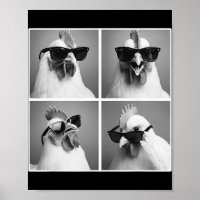 Chicken In Photobooth Rooster With Sungles