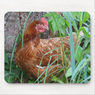 Chicken in the Grass Mousepad