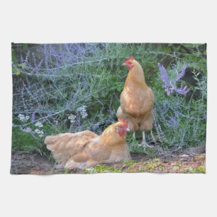 Chicken Kitchen Towel