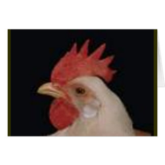 Chicken Love