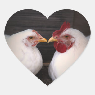 Chicken Love Sticker
