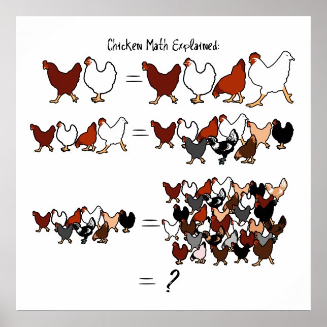 Chicken Math Poster (Front)