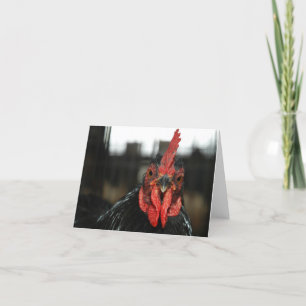 CHICKEN NOTECARD