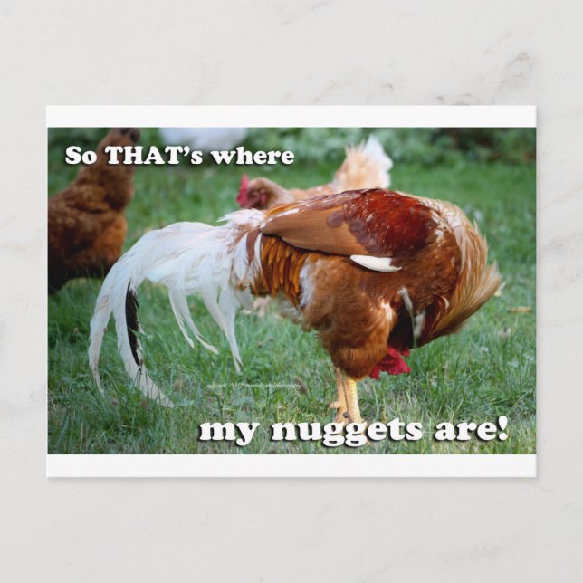 Chicken Nuggets - Rooster Postcard (Front)