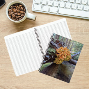 Chicken-of-the-Woods Mushroom Botanical Notebook