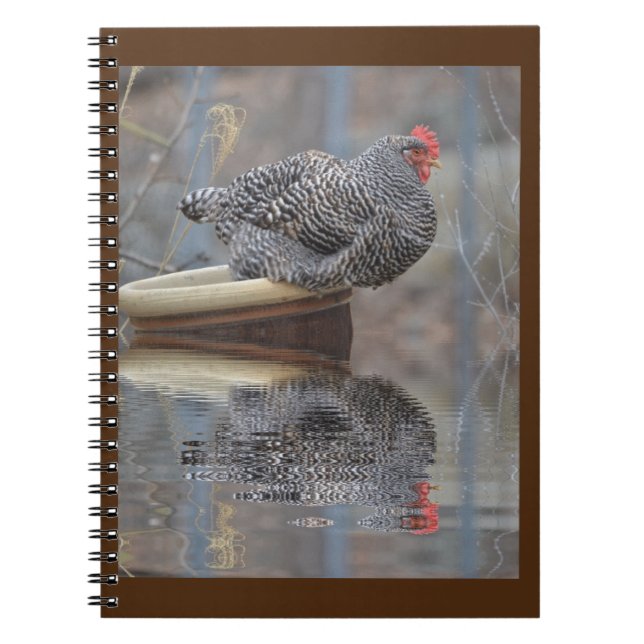 Chicken On Flowerpot Notebook (Front)