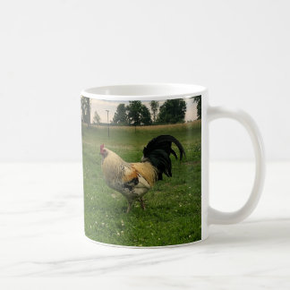 Chicken On the Farm Photo Coffee Mug