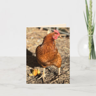 Chicken On The Move With The Side-Eye Card