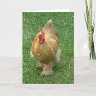 Chicken on the prowl card