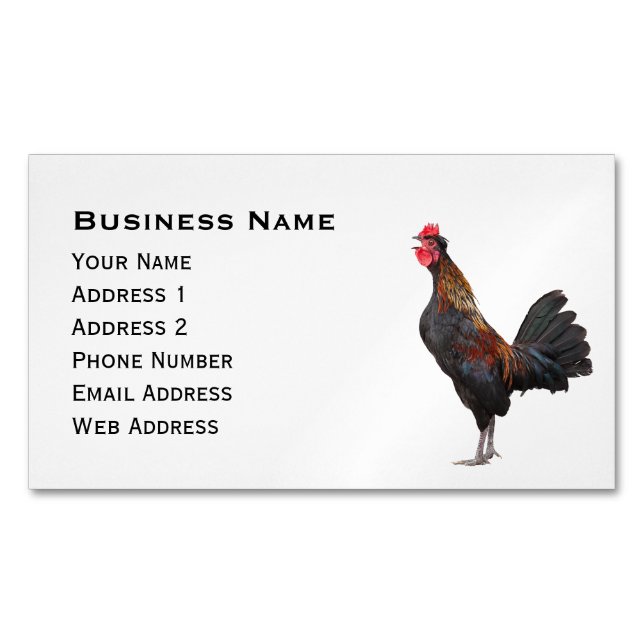 Chicken on White Magnetic Business Card (Front)