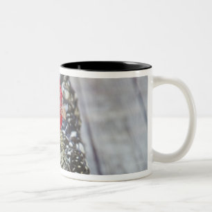Chicken on wood deck, Silver Laced Wyandotte Two-Tone Coffee Mug