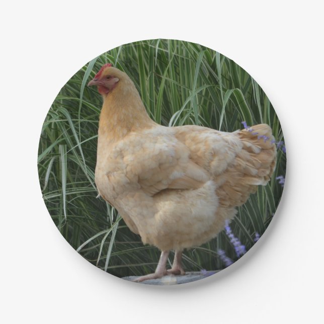 Chicken Paper Plate (Front)