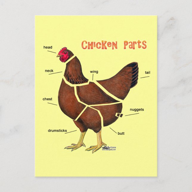 Chicken Parts Postcard (Front)