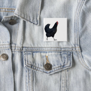 Chicken Photo Button