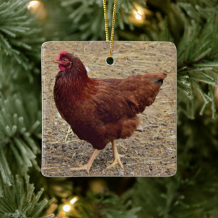 Chicken Photo Ornament